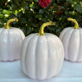 6" Petal Pink Lacquered Pumpkin
