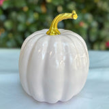 6" Petal Pink Lacquered Pumpkin