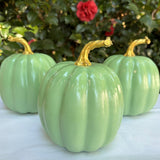 6" Sage Lacquered Pumpkin