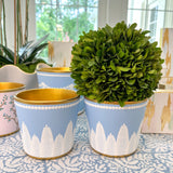 Blue + White 4.5" Fern Cachepot