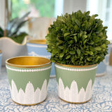 Sage Green & White 4.5" Fern Cachepot