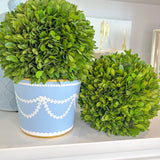 Blue + White 5.5" Draped Garland Cachepot
